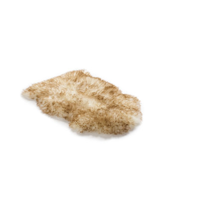 Solid Colour Sheepskin Shag 60cm X 80cm Area Rug
