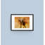 Elephant - Single Picture Frame Print