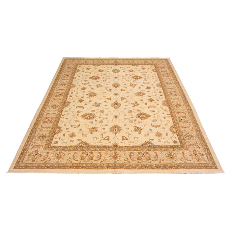 Tapis crème / brun / brun clair noué à la main de conception unique 13 pi 4 po x 16 pi 7 po New Age Cherryl
