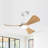 42 In. 3 Abs Blades Indoor Ceiling Fan With Light Kit And Remote-482898549-482898551