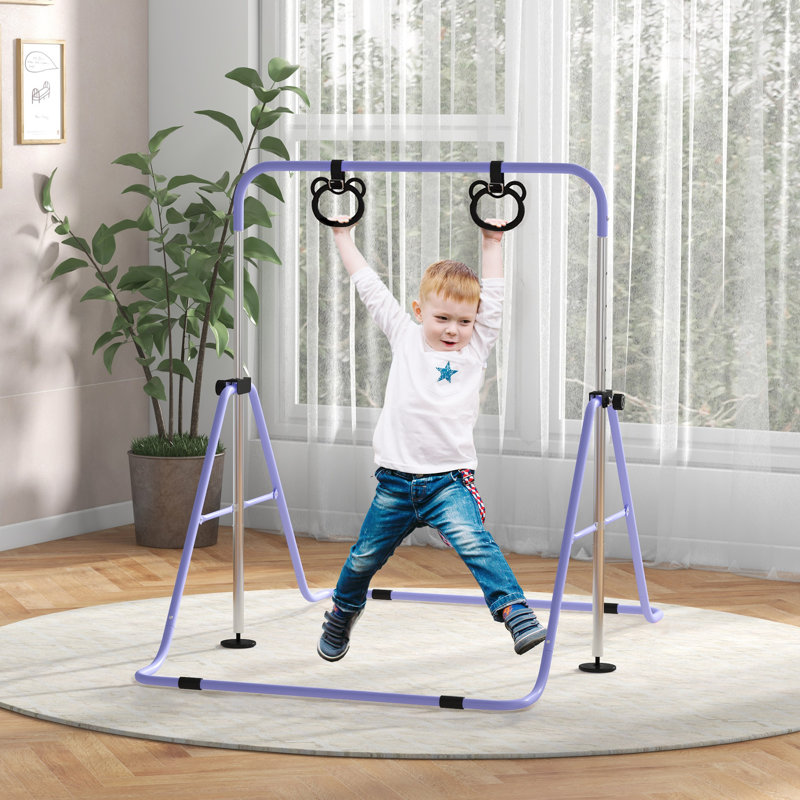 Isabelle & Max Burien Steel Foldable Outdoor Kids Game, Purple