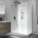 Julien 48'' W 76'' H Frameless Rectangle Reversible Shower Enclosure