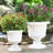 Tralee Neoclassic Resin Urn Planter-95080261-95083962