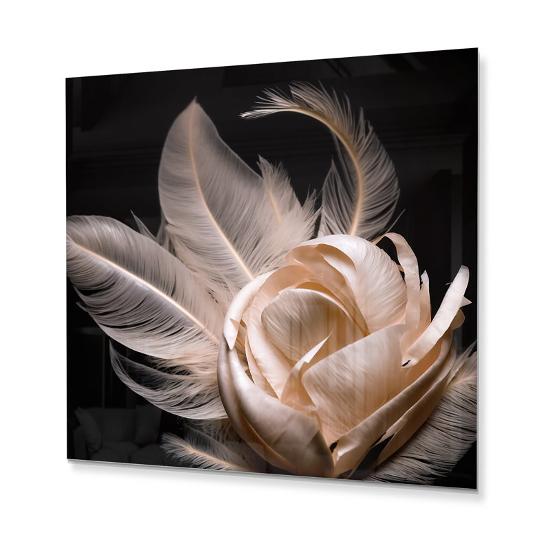 Pink Feather Rose On Black I - Rose Metal Print, 36" H x 36" W x 1" D