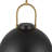 Nevada 1-Light Single Dome Pendant -66310776