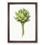 An Artichoke by Jean Bernard - Single Picture Frame Painting-55545069-55545075