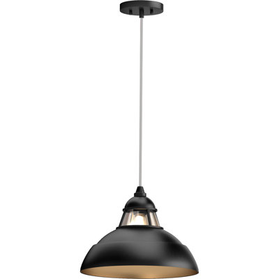 Quesada 1  Light Single Dome Pendant