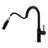Lily High Arc One-Handle Pull-Down Classic Kitchen Faucet, Supply Line Included, Matte Black-129019115