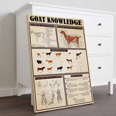 Toile tendue sur toile Goat
