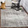 Fallsburg Performance Oriental Rug