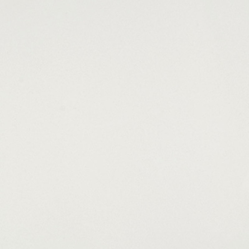 24" x 48" Porcelain Field Tile, Polished