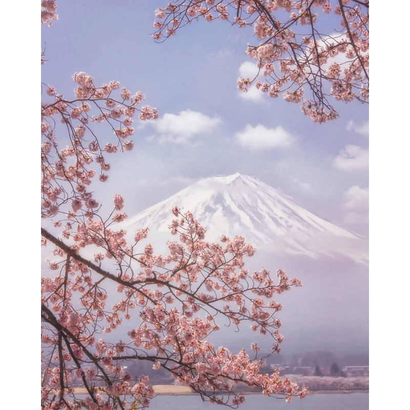 Wrapped Canvas Print, 50.8 cm H x 76.2 cm W