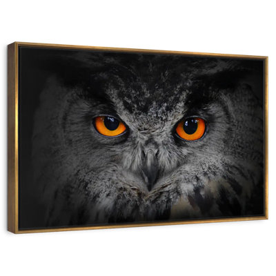 Mesmerizing Gray Owl