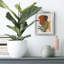 Contemporary Palm I - Impression encadrée-487671327-487671329