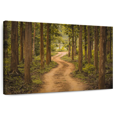 Alvord Nagarhole Pine Forest