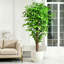 Ficus artificiel de 1,80 m, faux ficus avec pot noir, arbre réaliste pour la décoration intérieure de la maison, du bureau et de l'entrée.-1533884010-1534033677