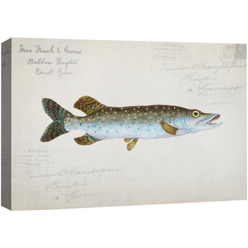 Illustration nautique de tacheté tacheté, photos de salon bord de mer, impression sur toile encadrée et giclée sur toile.