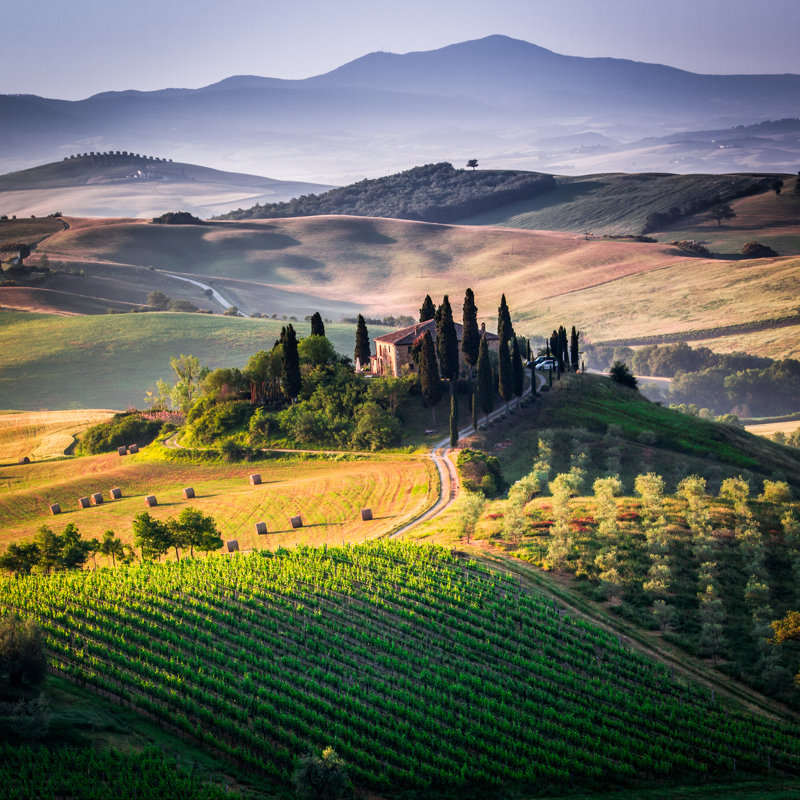 Cyanne " Tuscan Landscape ", 12" H x 12" W  