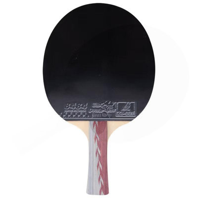 DOUBLE FISH Single Table Tennis Racket