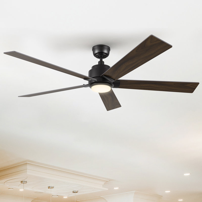 60'' Ceiling Fan with LED Lights, Dark Walnut, Black