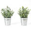 10,2 po Faux eucalyptus topiaire dans un pot en métal (2 pièces)