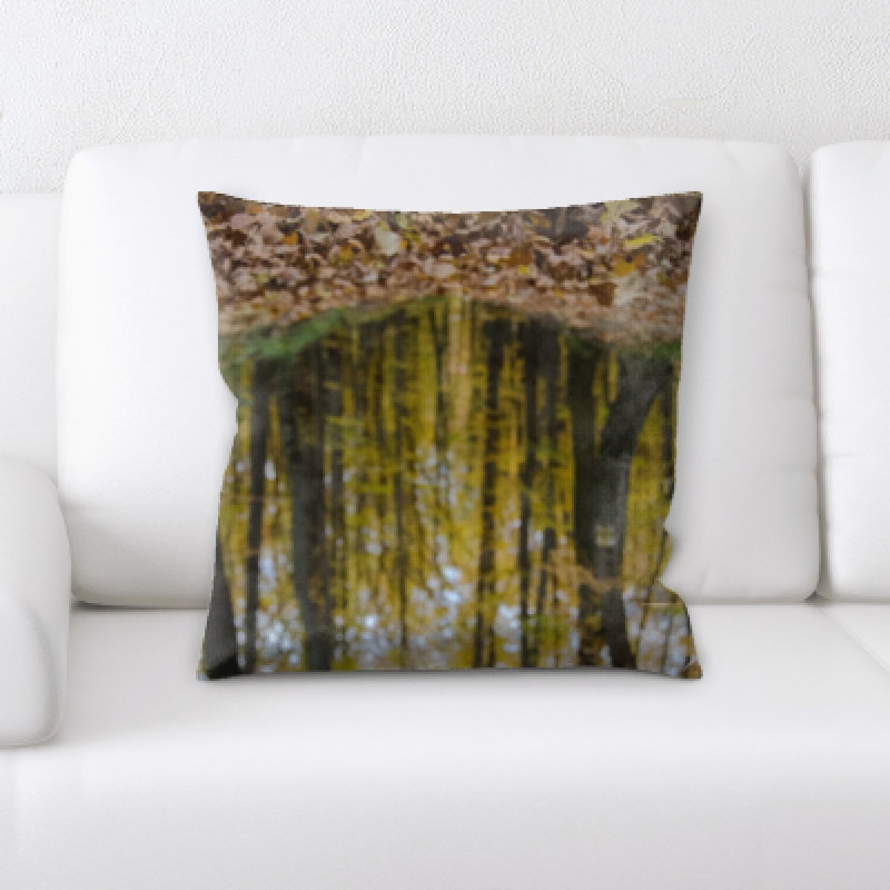 Coussin décoratif