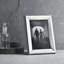 Modern Single Picture Frame-46556778