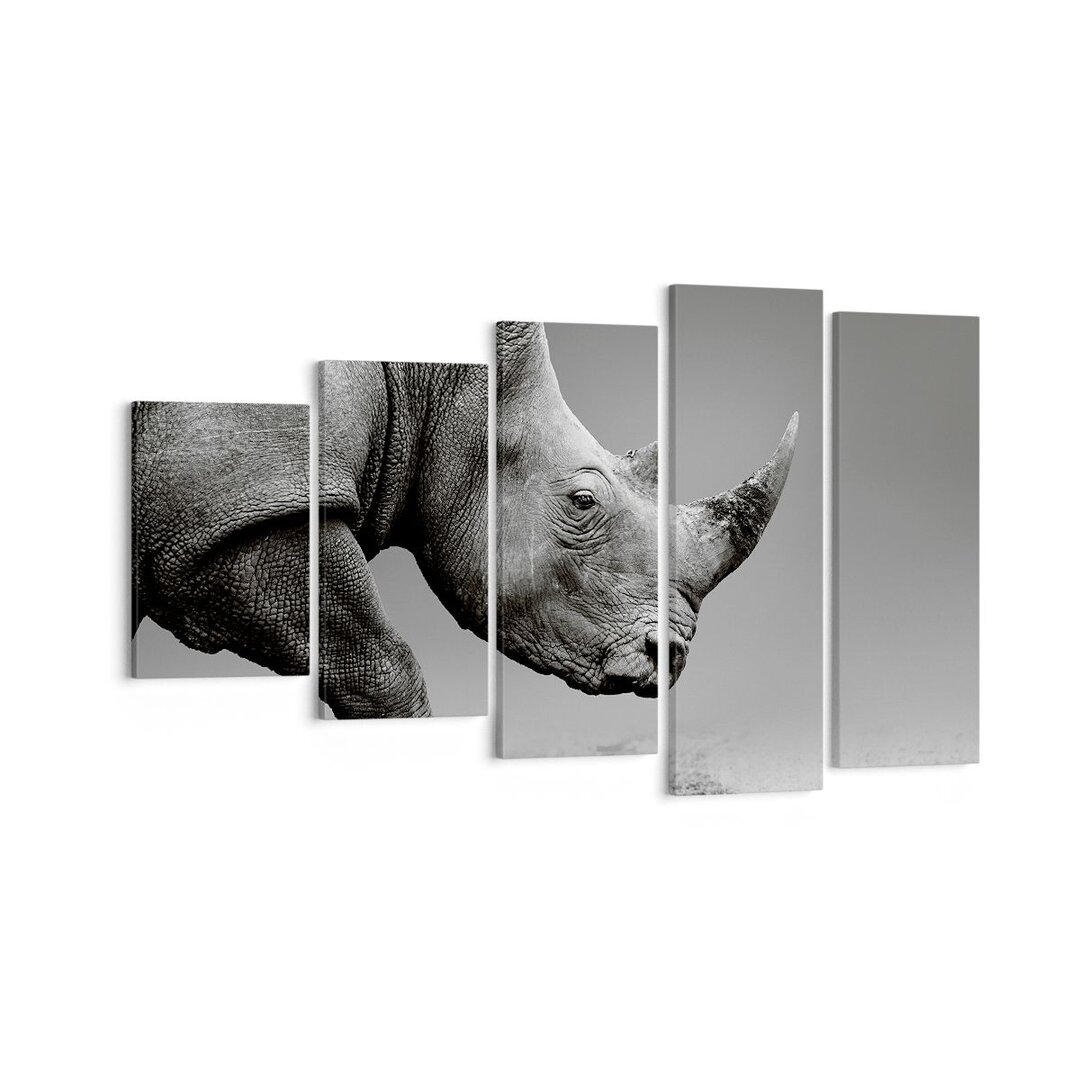 5-tlg. Leinwandbilder-Set Rhinoceros Monochrome Animal