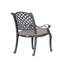Chaise de terrasse avec coussin Annecorinne-1224339680-1241196105