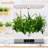 SereneLife 24 Watt Grow Light