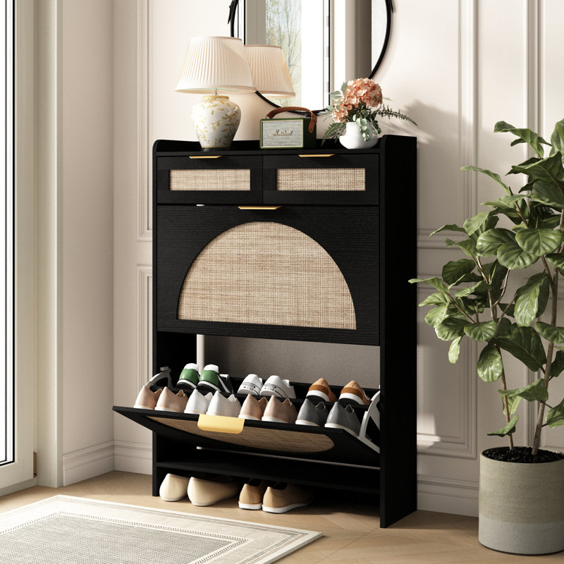Armoire de rangement pour chaussures Anteus, Noir mat