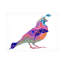 «Butterfly Quail» par Kwerki Studios - peinture sur toile tendue-2097319017