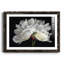 Morning Light - Reproduction d'art sur papier encadrée-1950103035-1950103037