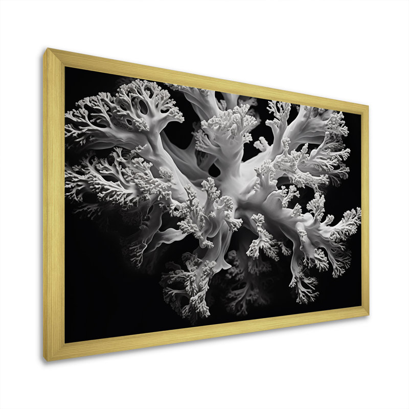 Anémone de corail noir et blanc III sur toile, H 16 po x l 32 po x P 1 po, Encadrement doré