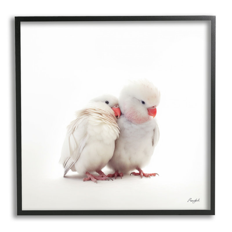 ba-969 - Reproduction encadrée d'une photo sur toile par Roozbeh, Giclée encadrée noir minuit, H 12 po x l 12 po x P 1,5 po