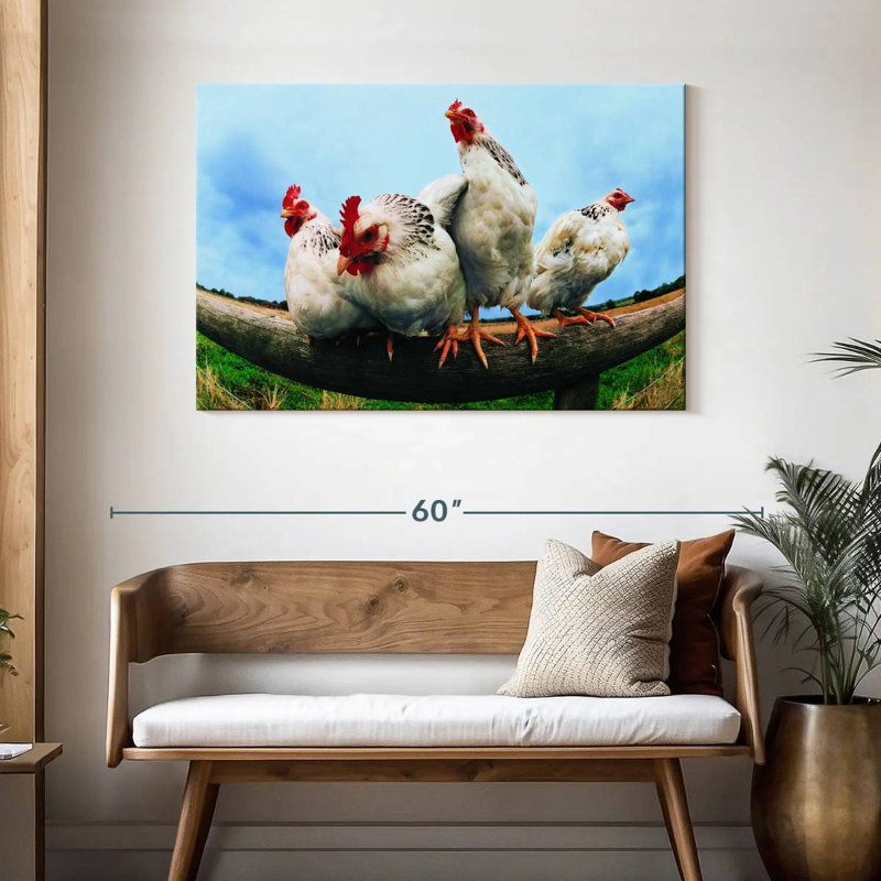 Poulet Brampt, H 30 po x l 45 po