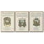 Ex-libris imprimé I - ensemble de 3 reproductions encadrées sur toile-97710258-97710259