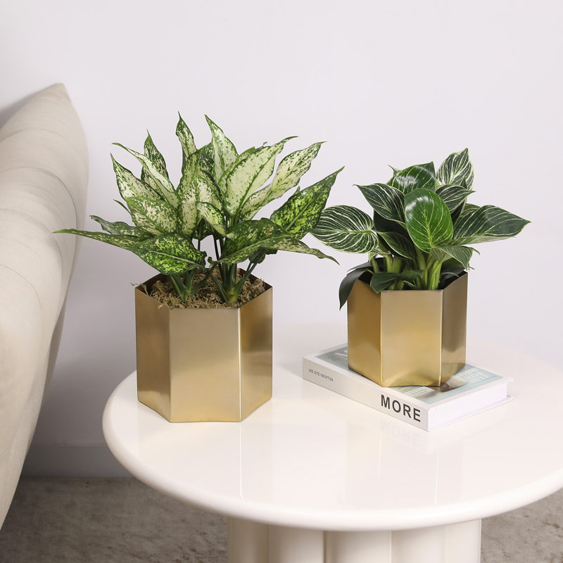 Metal Pot Planter, Brass Tone