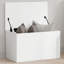Savier Accent Trunk-393334434