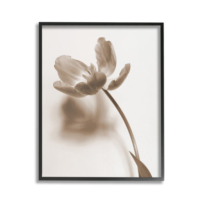 Tige de tulipe minimale
