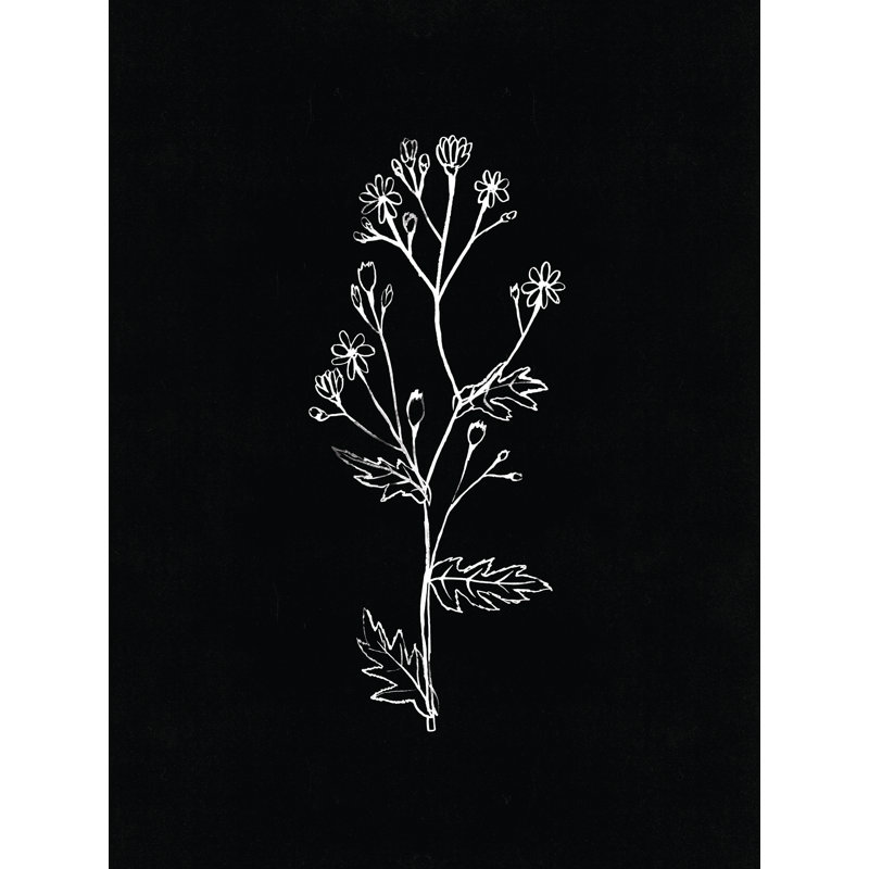 «Black White Botanical Silhouette II», reproduction de dessin sur toile tendue, H 36 po x l 24 po