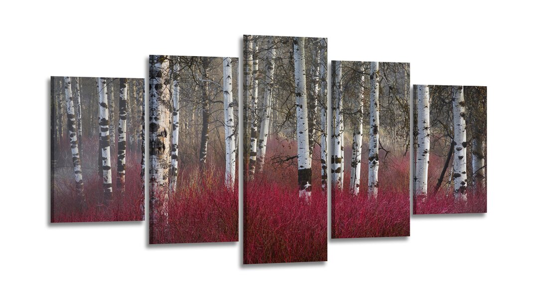 5-tlg. Leinwandbild-Set "Birch Forest"