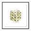 Green Golden Imprint 6 Print by Anne Mersmann-1895737594-1895737595