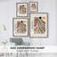 Matisse CCL Framed Print Framed Print - Solid Wood-471922439