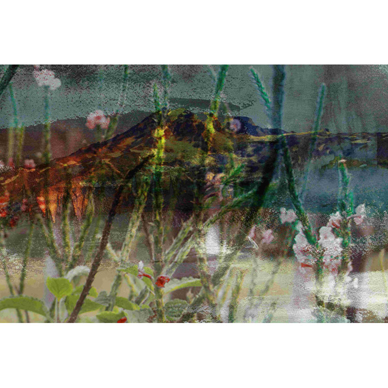 Fleurs sauvages de montagne I, H 8 po x l 12 po