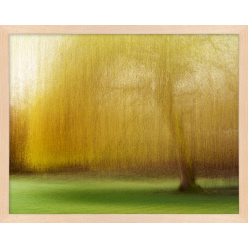 Printemps, par Laura Zimmerman - Art mural encadré, Papier avec cadre érable, H 40 po x l 50 po
