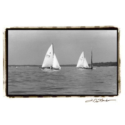 Ocean Breeze II by Laura DeNardo - 1 Piece Wrapped Canvas Wall Art
