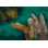 Murale abstraite pelez et collez - Jungle verte exotique