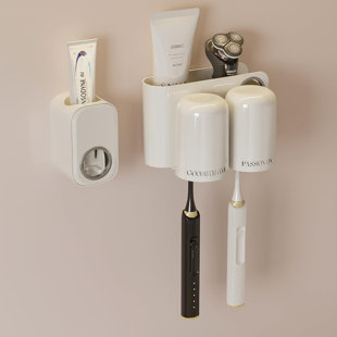 Hansgrohe E & S Accessories Toothbrush Holder, Wayfair