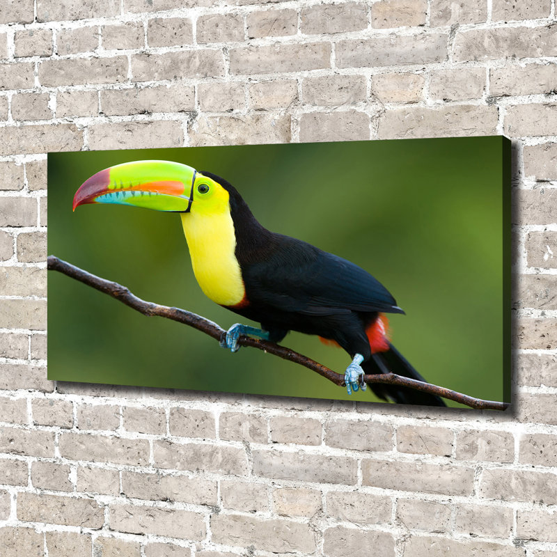 Toucan - No Frame Print on Glass, Canvas, 70cm H x 140cm W x 2cm D